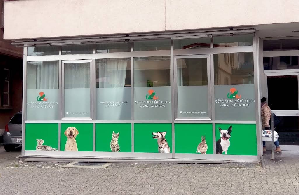 Côté Chat Côté Chien - Cabinet vétérinaire - Vétérinaire in Lausanne