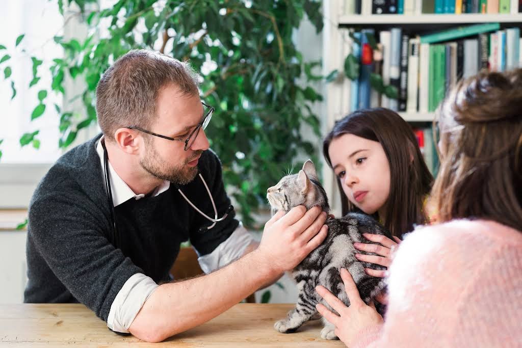 HausVet - Mobiler Tierarzt in Zürich - Tierarzt in Zürich