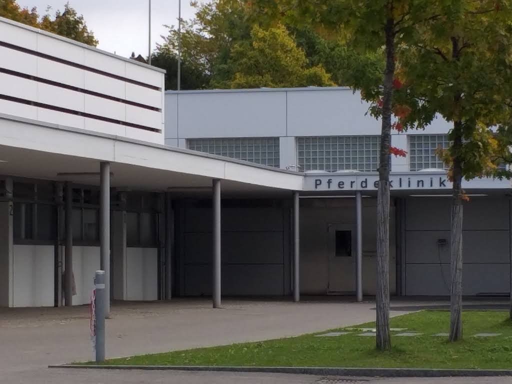 ISME Pferdeklinik - Tierarzt in bern