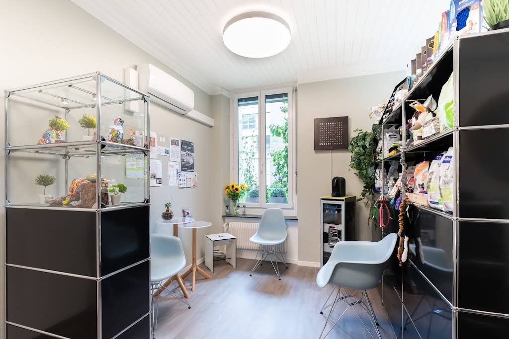 Kleintierpraxis 54 - Tierarzt in bern