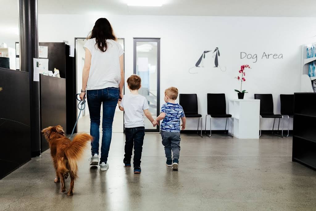 Kleintierpraxis ACR - Tierarzt in Winterthur