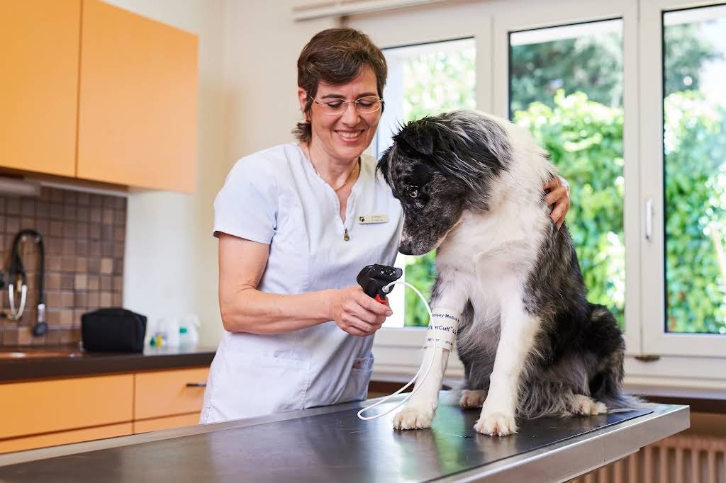 Kleintierpraxis Dr. med. Vet. Alexandra Dittus - Tierarzt in Winterthur