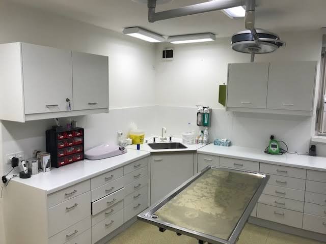 Kleintierpraxis Hohenklingen - Tierarzt in Zürich