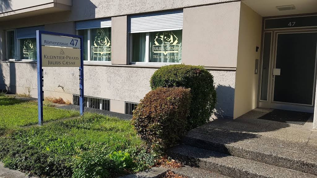 Kleintierpraxis Julius Caesar - Tierarzt in Winterthur