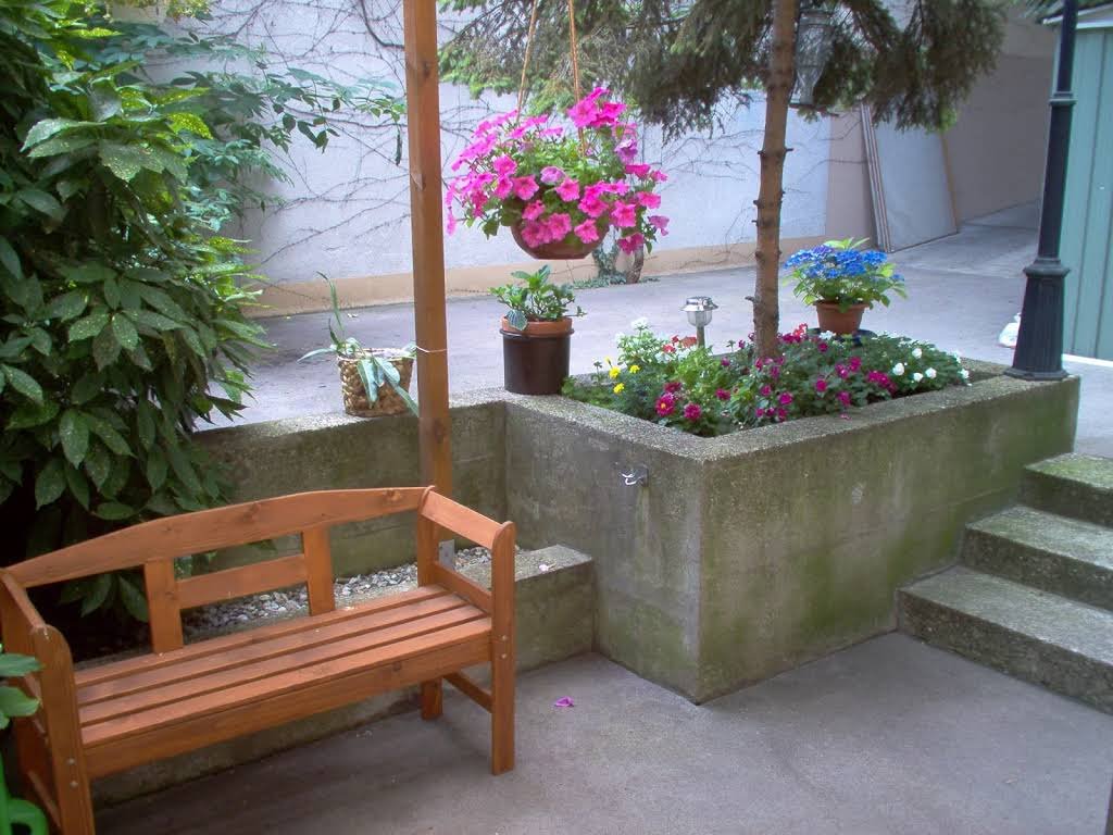 Kleintierpraxis zur Steinenschanze Dr Tolone - Tierarzt in Basel