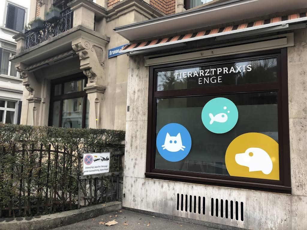 Tierarztpraxis Enge - Tierarzt in Zürich