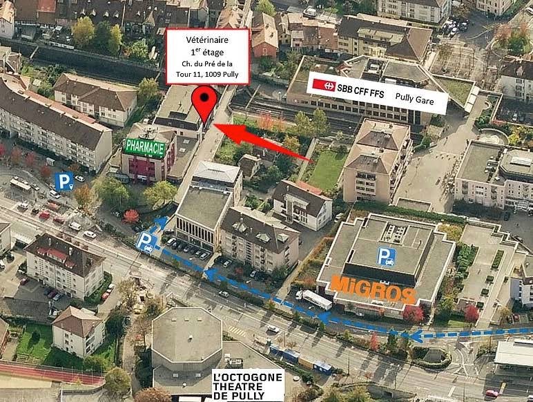 VETERINARY OFFICE OF Clergère SA 1009 Pully - Vétérinaire in Lausanne