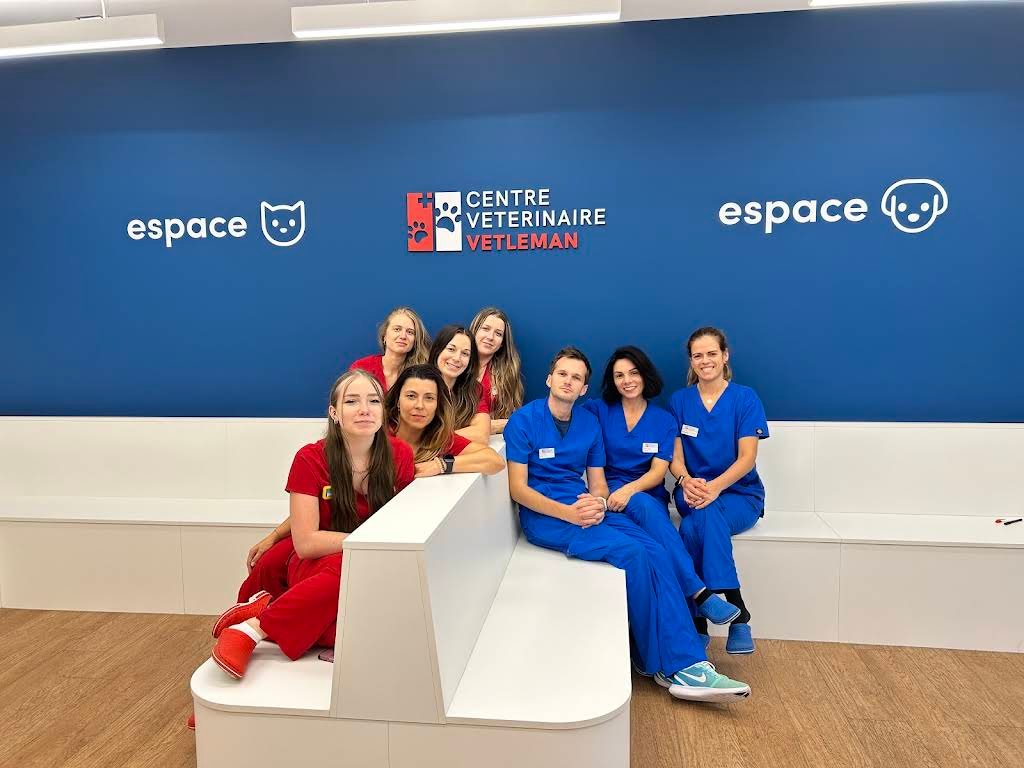 VETLÉMAN - Centre Vétérinaire - Vétérinaire in Lausanne