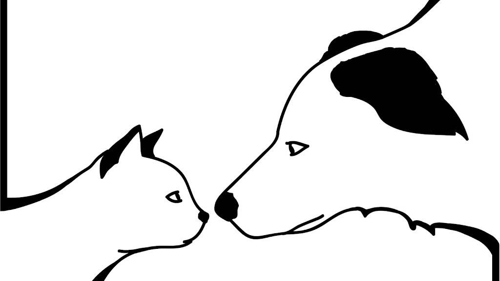 Veterinarian Dr Anne C Mewes - Tierarzt in bern