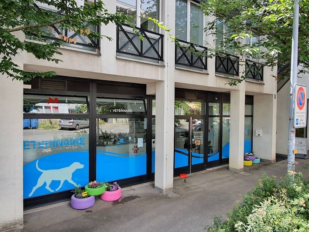 Vets 4 Life Sàrl - Vétérinaire in Lausanne