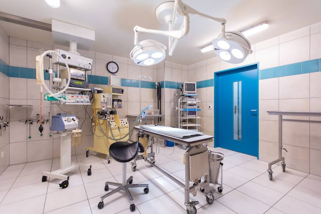 wintivets AG Tierklinik - Tierarzt in Winterthur