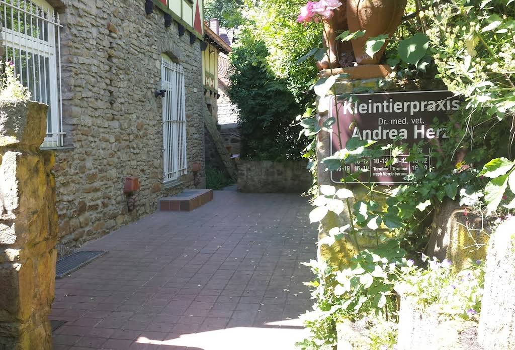 Dr med vet Andrea Herz vet - Tierärzte in Bochum