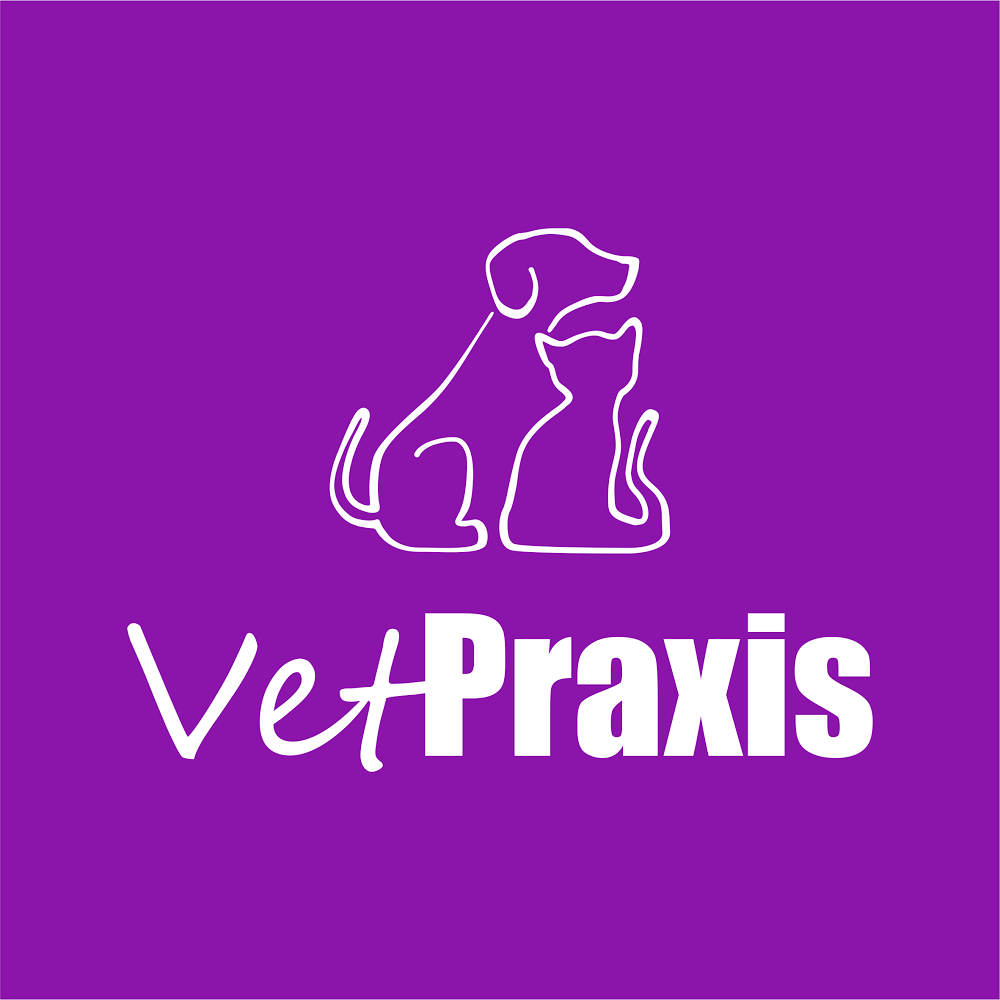 VetPraxis Tierarztpraxis fur Kleintiere prakt Tierarzt Krzysztof Sliwinski