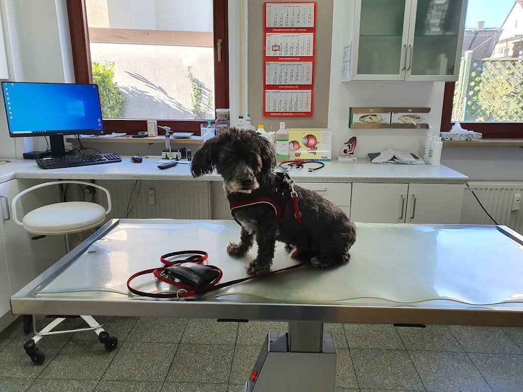 Veterinary practice Markus Behle-Tierarzt